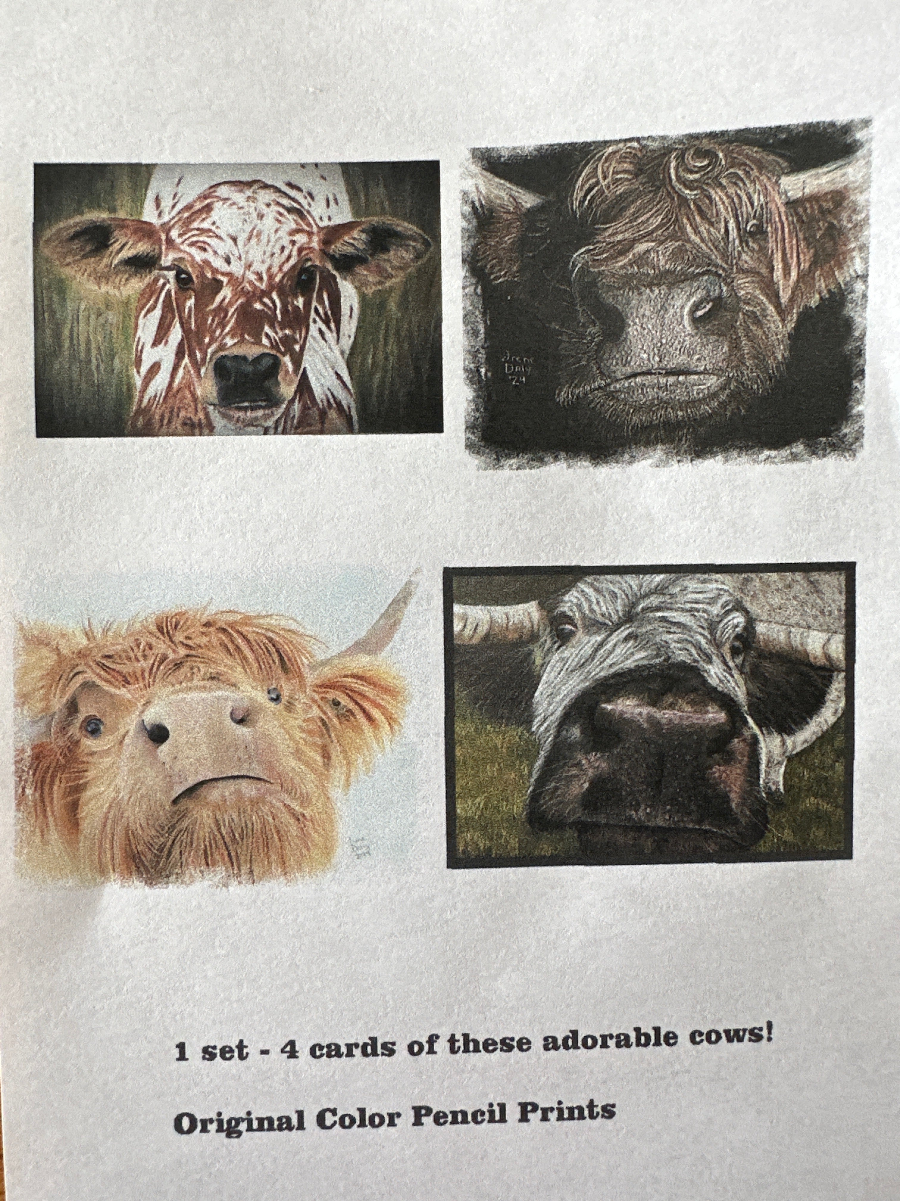 Cards - cows