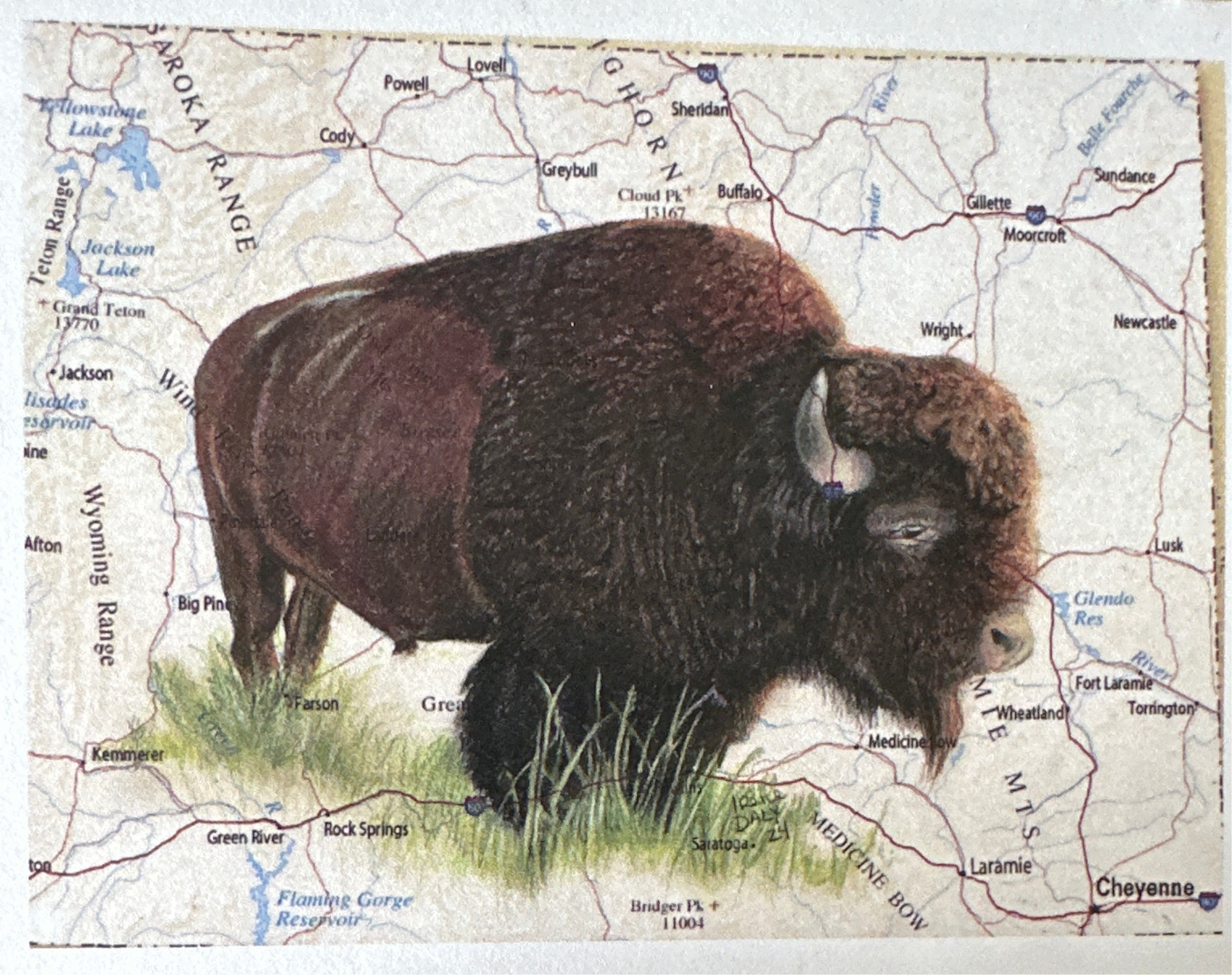 Cow cards