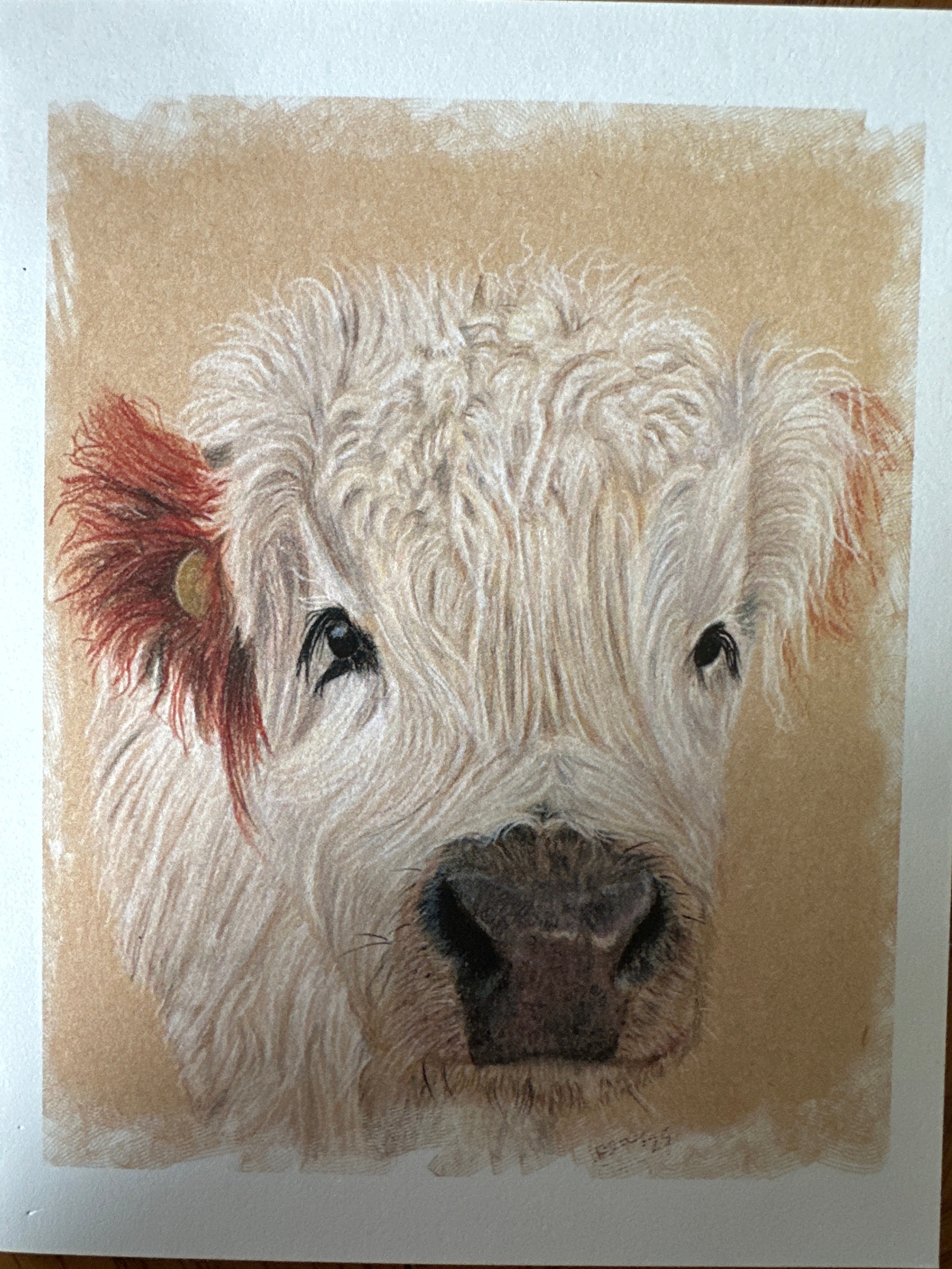 Cow cards