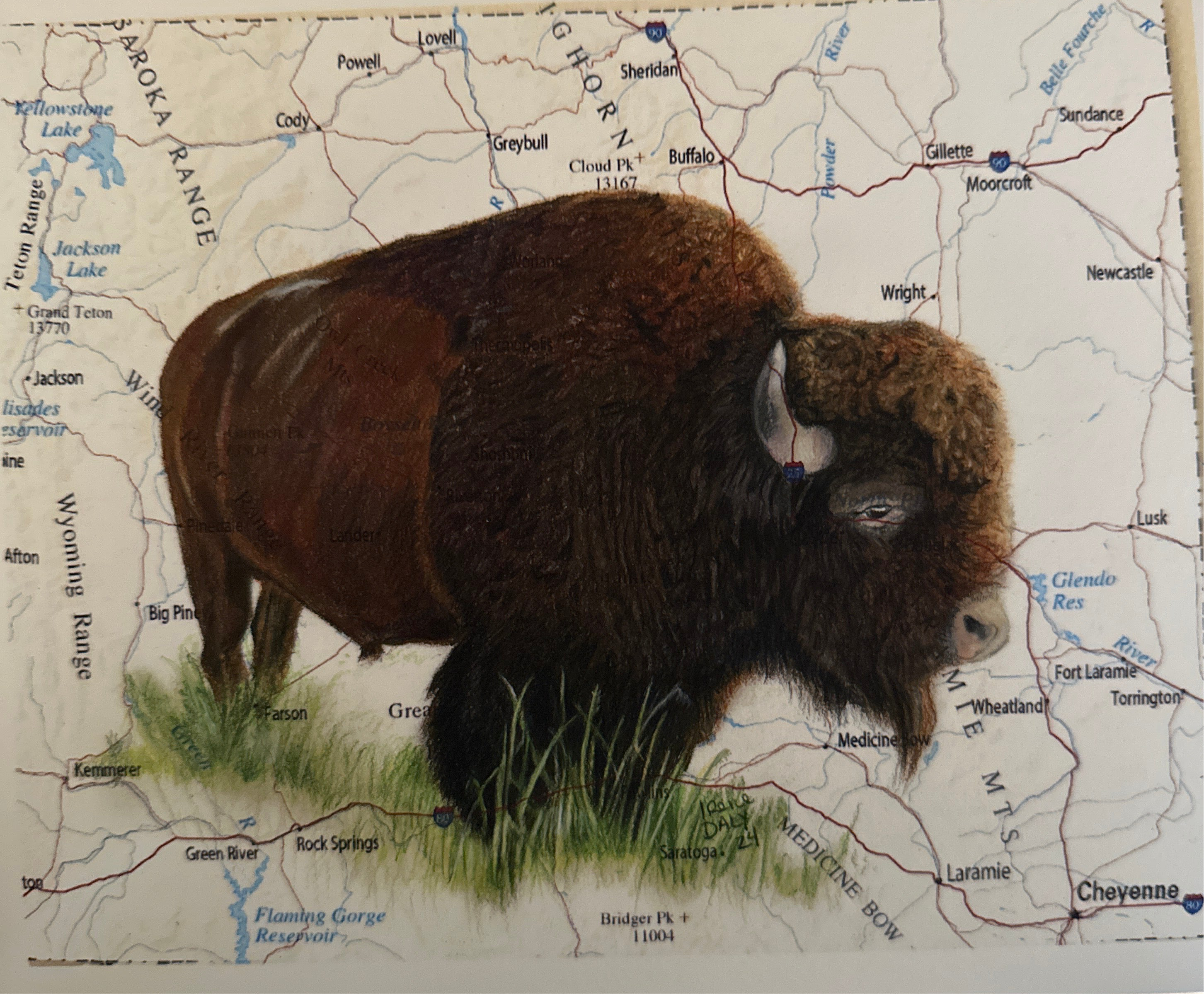 Buffalo Wyoming