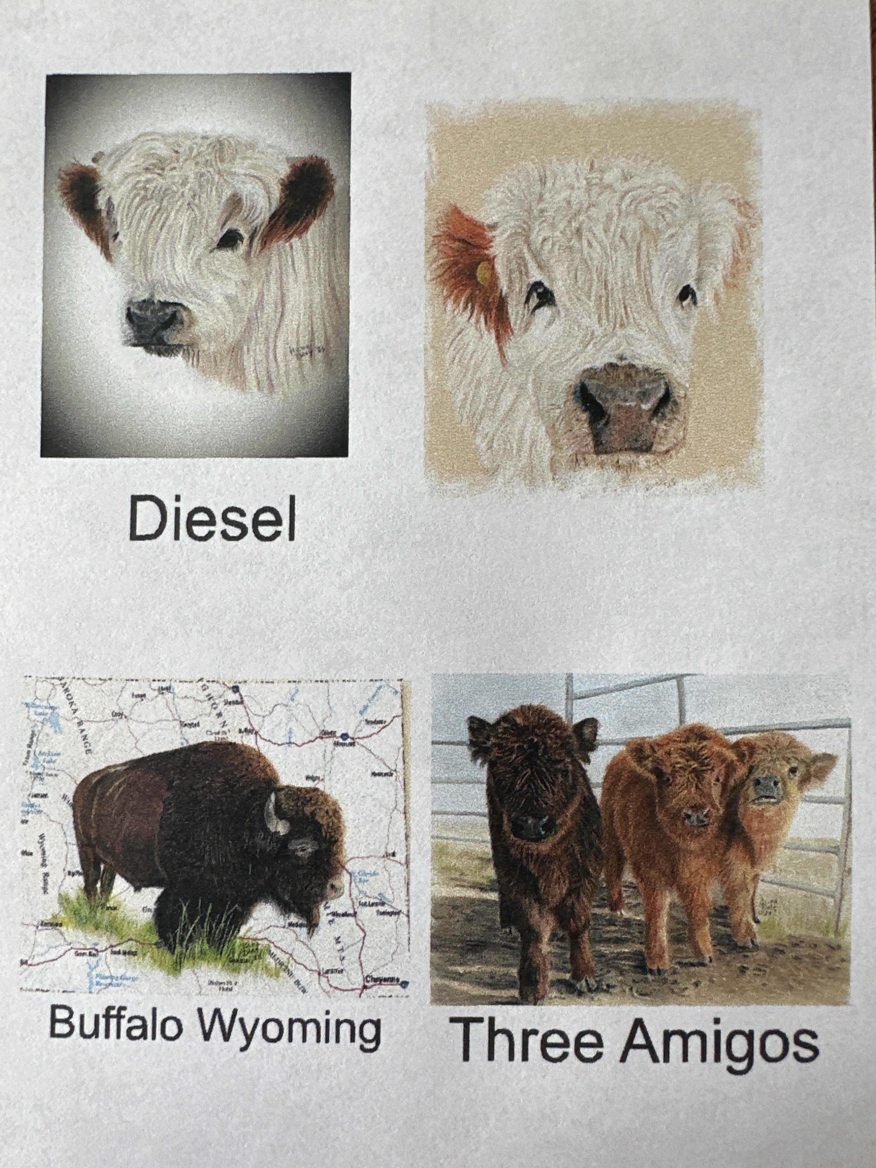Greeting Cards