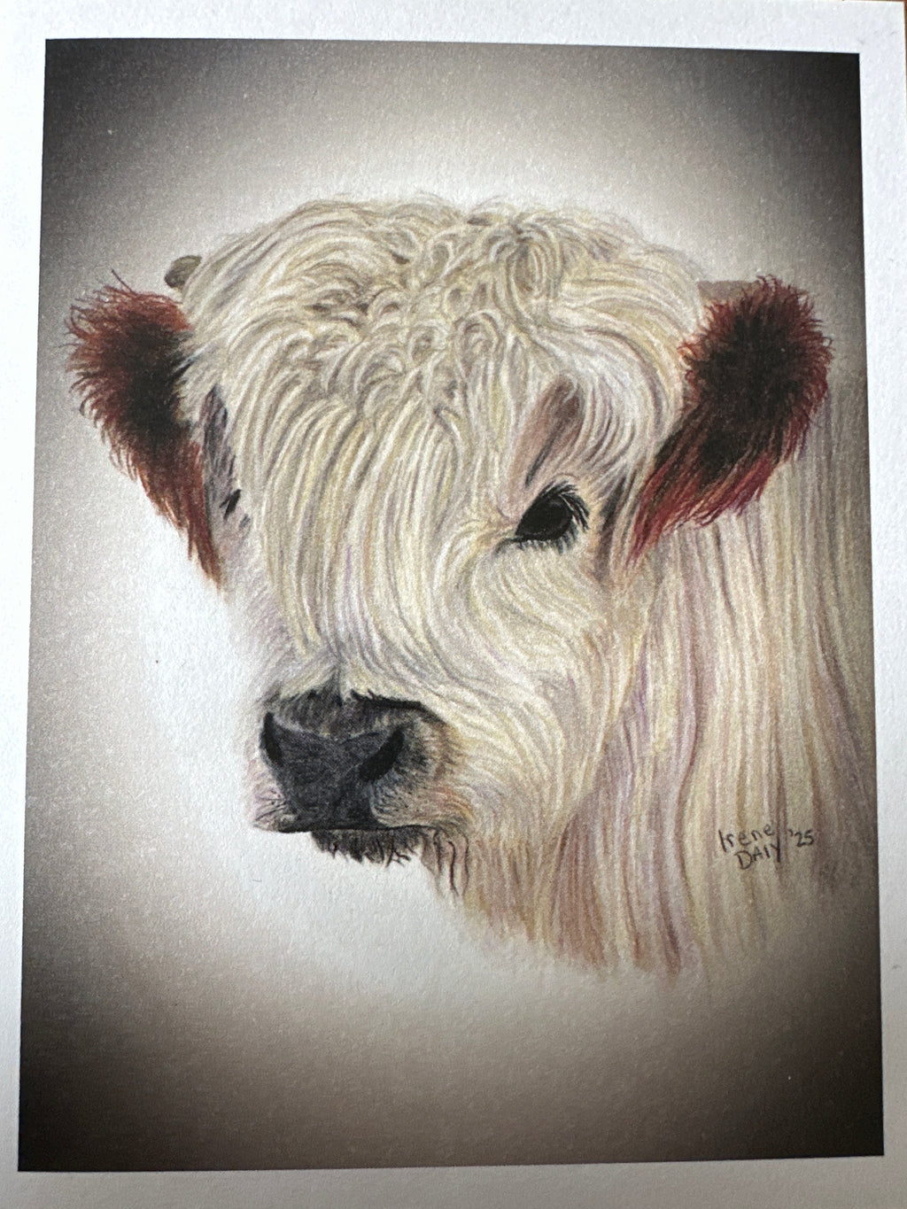 Cow cards