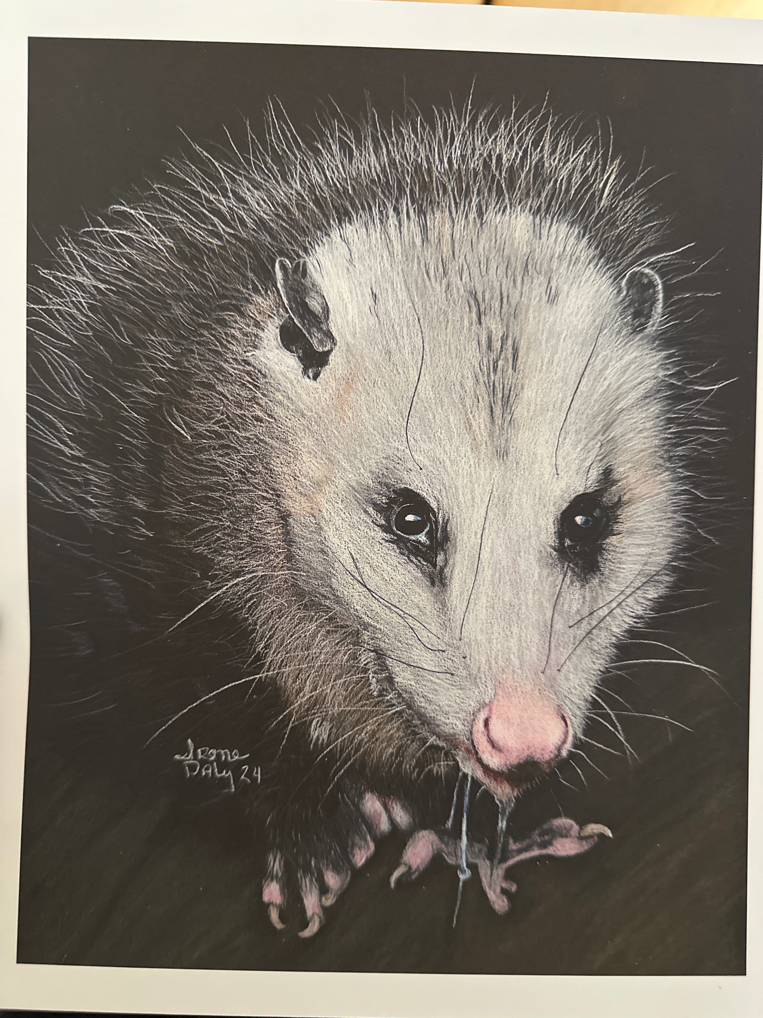Playing Possum