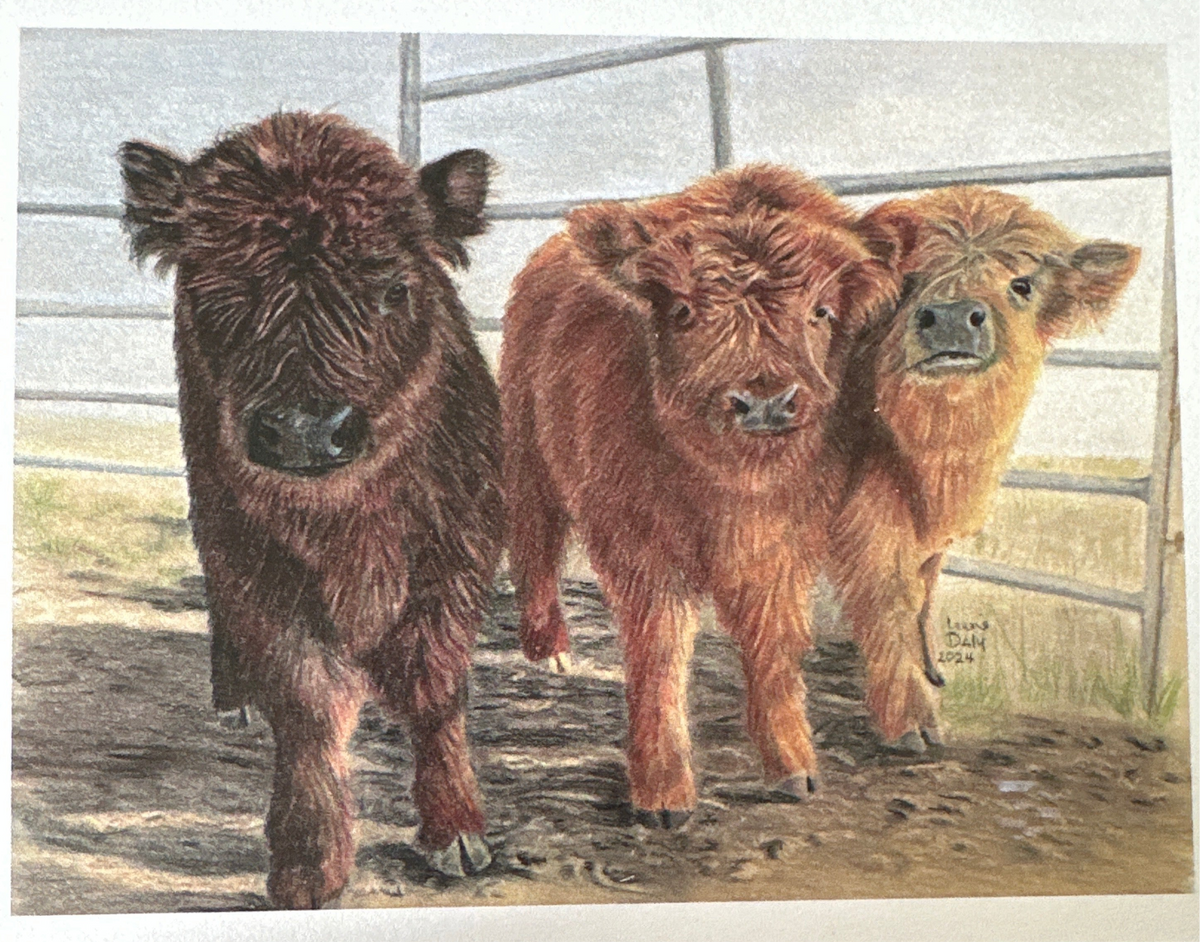 Three Amegos
