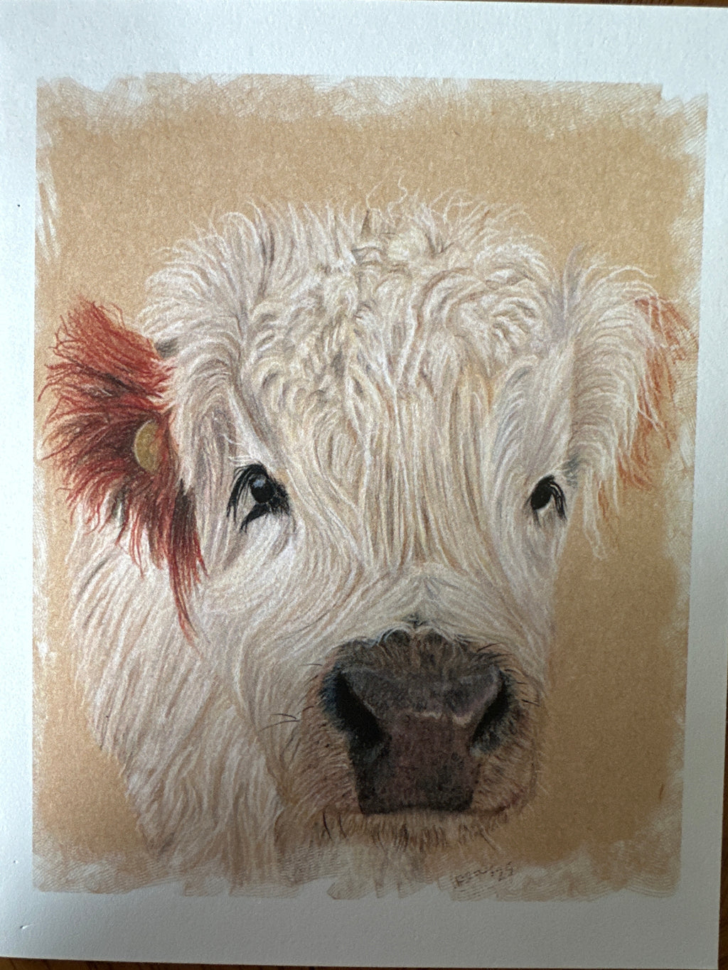 Cow cards